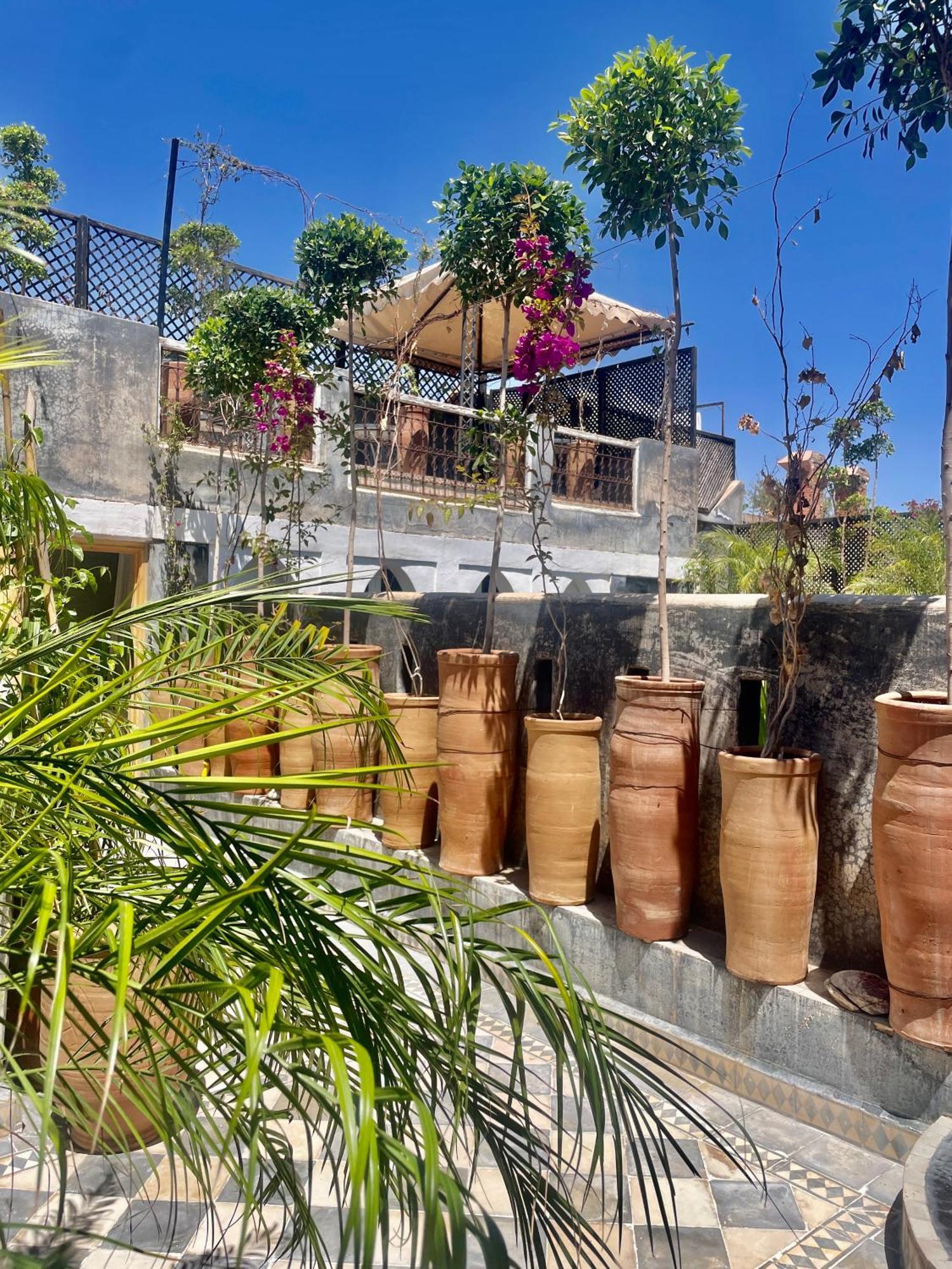 Riad Green Palm Марракеш Екстер'єр фото